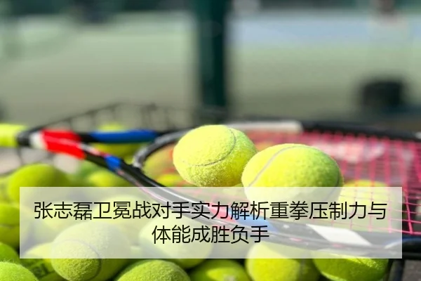 张志磊卫冕战对手实力解析重拳压制力与体能成胜负手